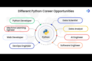 The Python Developer Career Track Pathways,Skills,and Opportunities